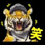 大阪神戸の野球好き虎ファン向け2