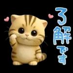 ねこちぃず♡夏スタンプ