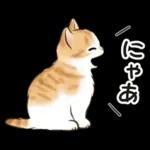 毎日☆猫たちのスタンプ
