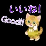 冬のキラキラおめめの子猫ちゃん