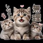 ねこちぃずNEO★やさしい秋スタンプ