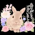 めっちゃ可愛い🫣🫣🫣