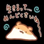 ニャー星人の楽園🥰