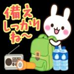 【梅雨・夏】大人かわいい日常