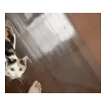 気持ちが伝わる日常メッセージ☆