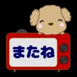 🐶犬の冒険物語