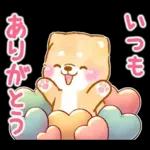 愛する人に感謝を送る❤️いやしばいぬ赤柴