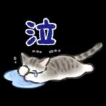 毎日ごろごろ☆猫たちのスタンプ