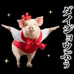 リアル☆メスブタ 3