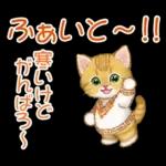 冬のキラキラおめめの子猫ちゃん