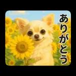 ずっと使える♡夏のチワワ