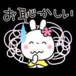 優しい2!!かわいい白うさぎ