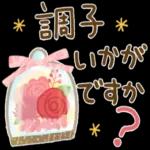  今日の癒しと元気をお届けますよ〜