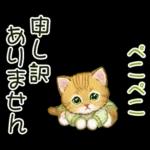 冬のキラキラおめめの子猫ちゃん