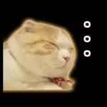 猫の「うなちゃん」