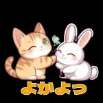 猫がいっぱい♡あいさつスタンプ🐱