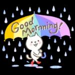 猫さん。梅雨・初夏のやさしいメッセージ