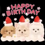 大人かわいい♡いぬと花のスタンプ