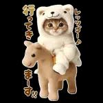 大きく表示♡冬にゃんこ