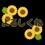 キャラなし大人の夏～秋Lサイズ