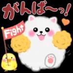 ポメラニアン❤️ぽちゃん「秋」