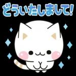 気づかいのできるネコ♪