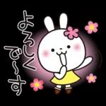 優しい2!!かわいい白うさぎ