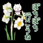 🌼春の息吹パッケージ