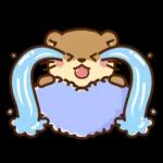 コツメカワウソ♡ラブラブ6