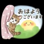 ゆっくり休んで
下さいね。