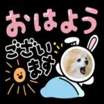 明日から本気出す！！