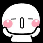 今日は何にしますか