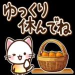 寒暖差にご注意くださいね〜