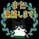 よろしく
お願い
します
P