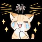 スナネコのサシャ 2