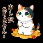 三毛猫のつめあわせ【秋】
