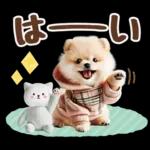 癒しポメラニアンの春のあいさつ