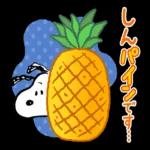 よかったです