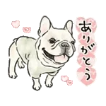 【動く】毎日使えるフレンチブルドッグ