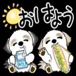 おはよ! хо