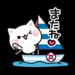 気づかいのできるネコ♪夏・梅雨編