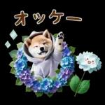 今日も頑張ったね！！