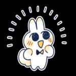 💖恋の告白パック