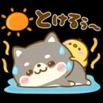 熱中症に気をつけて🫠🫠🫠