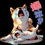 柴にゃんスタンプ