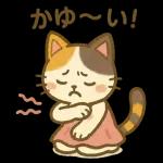 三毛猫の幸せな夏の生活