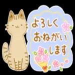 ナイス