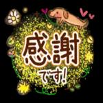 いつもありがとうございます