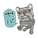 【動く】毎日使えるフレンチブルドッグ