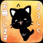 かわいい黒猫ちゃんの一日